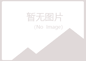 铜川夏岚木材有限公司